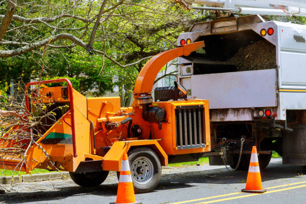  Douglass Hills, KY Tree Services Pros
