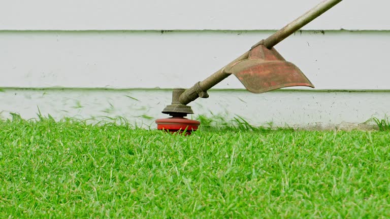Best Lawn Disease Treatment  in Douglass Hills, KY