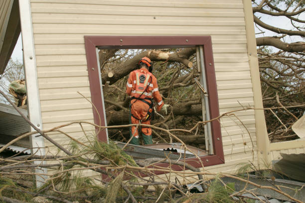 Best Commercial Tree Services  in Douglass Hills, KY